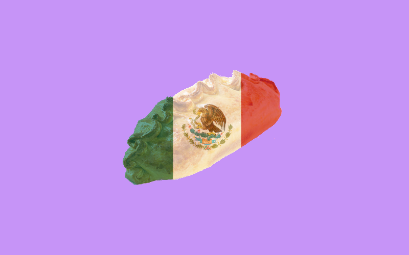 The Mexican Cornish pasty