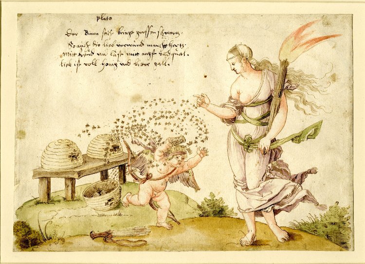 Sweet but psycho(active): A brief history of mad honey